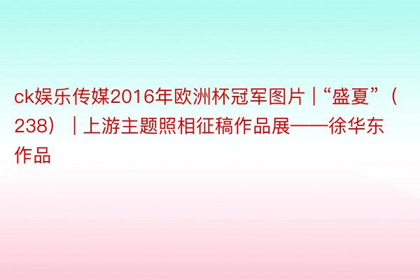 ck娱乐传媒2016年欧洲杯冠军图片 | “盛夏”(238) | 上游主题照相征稿作品展——徐华东作品