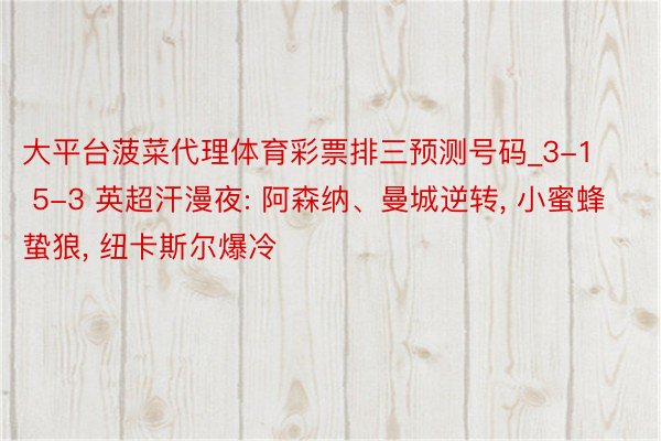 大平台菠菜代理体育彩票排三预测号码_3-1 5-3 英超汗漫夜: 阿森纳、曼城逆转, 小蜜蜂蛰狼, 纽卡斯尔爆冷