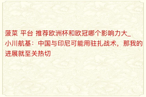 菠菜 平台 推荐欧洲杯和欧冠哪个影响力大_小川航基：中国与印尼可能用驻扎战术，那我的进展就至关热切