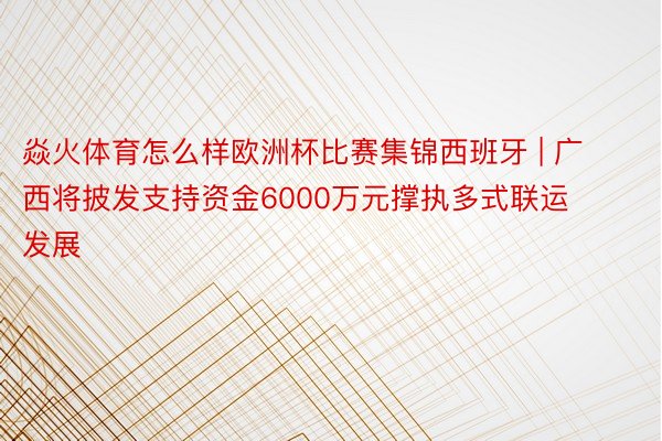 焱火体育怎么样欧洲杯比赛集锦西班牙 | 广西将披发支持资金6000万元撑执多式联运发展
